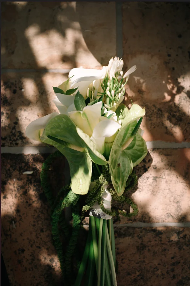 Fotografía de boda — Luis López